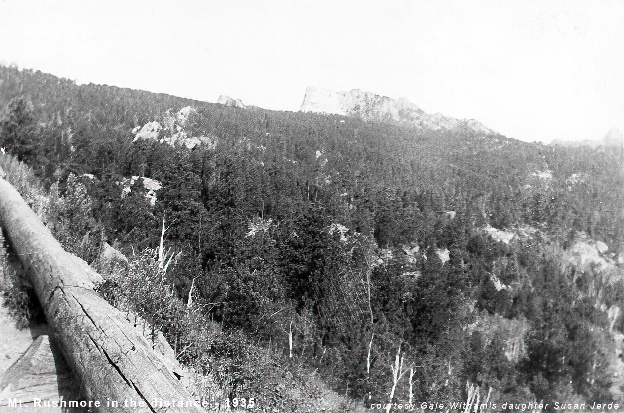 Black Hill Rushmore in background