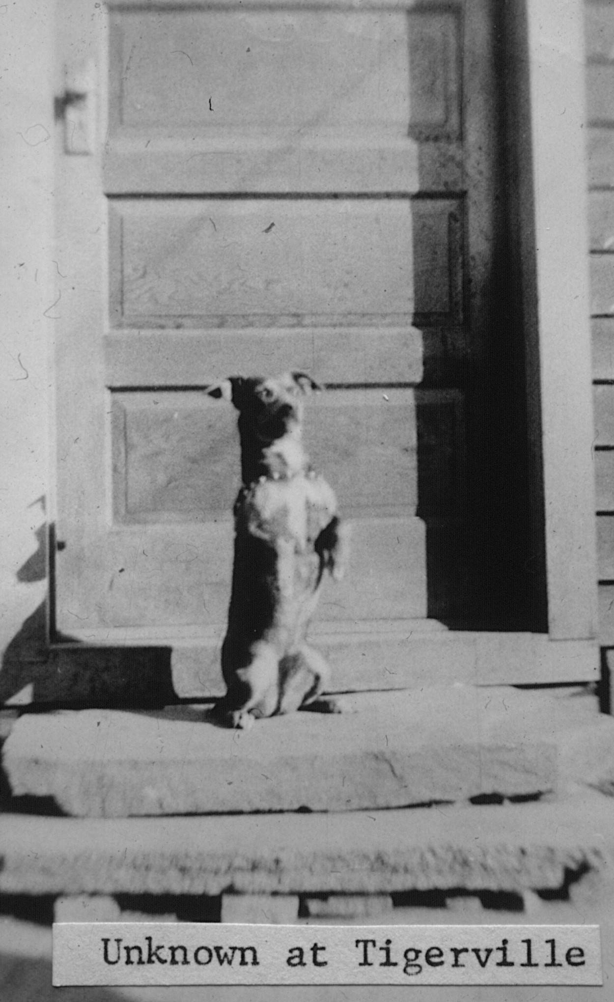 Photo from Milt Schleve collection