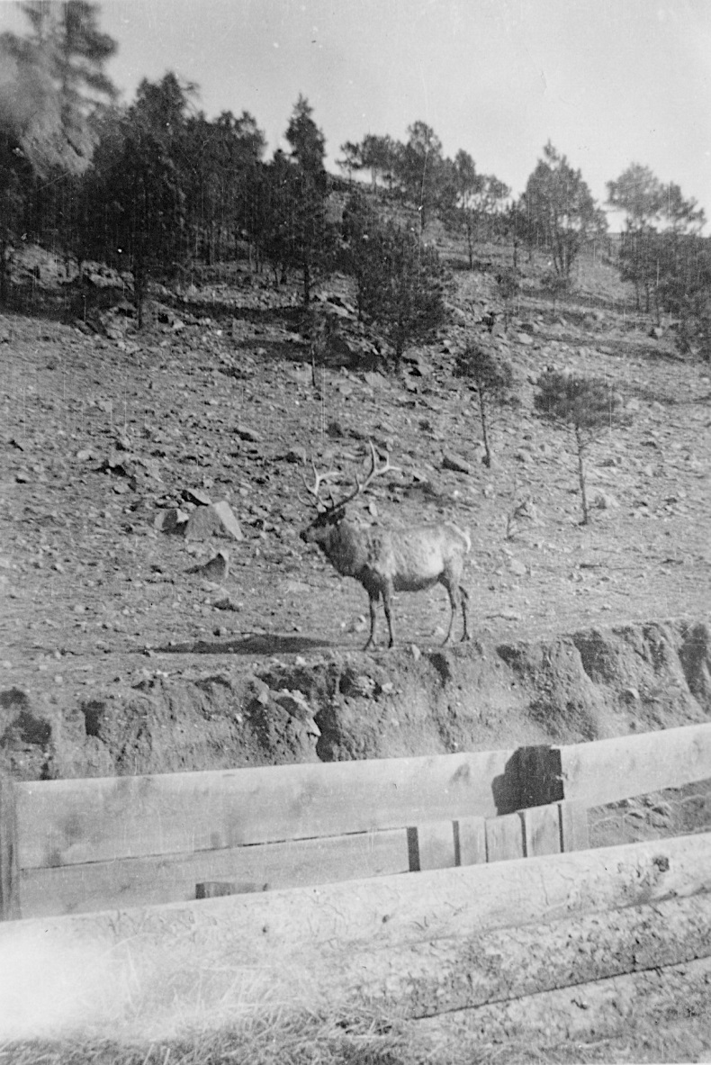 From Ben Petranek CCC Photo Collection