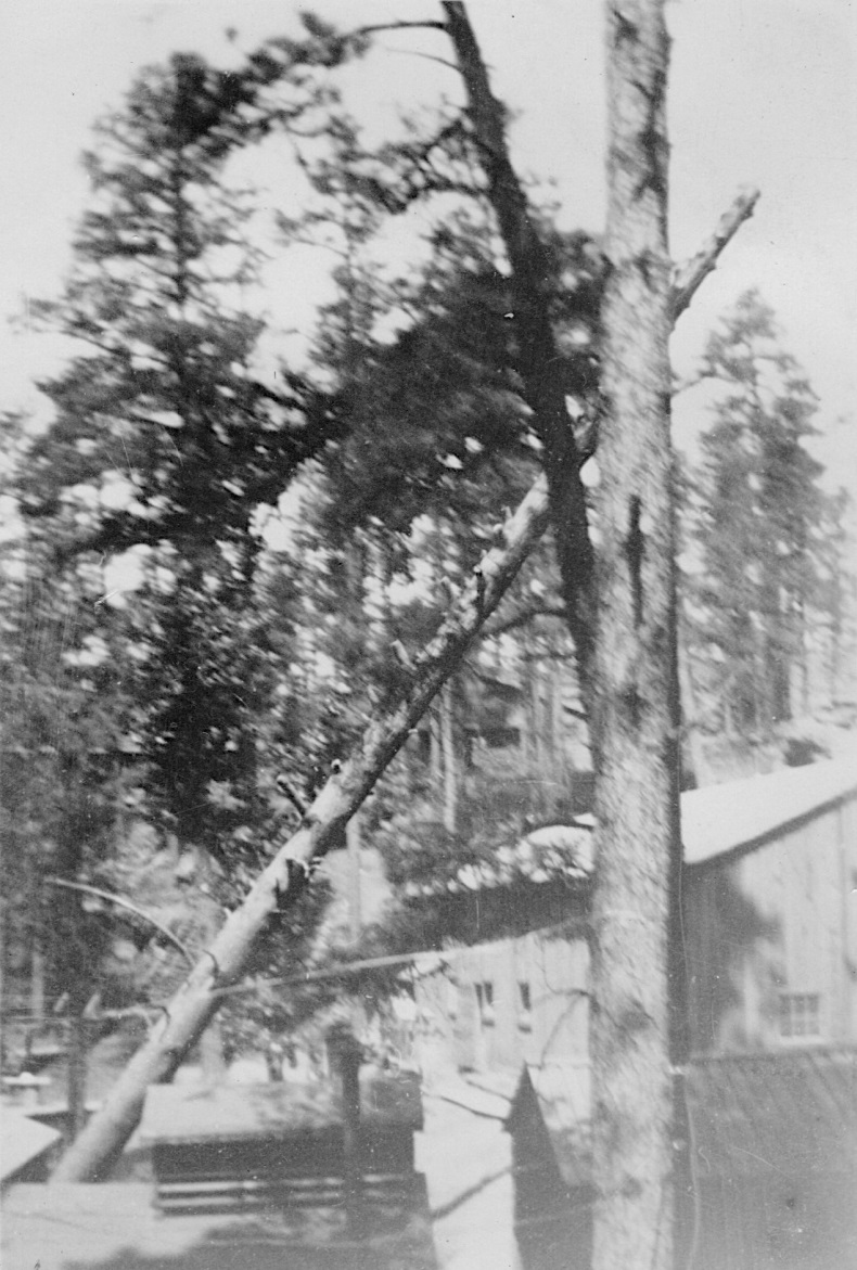 From Ben Petranek CCC Photo Collection