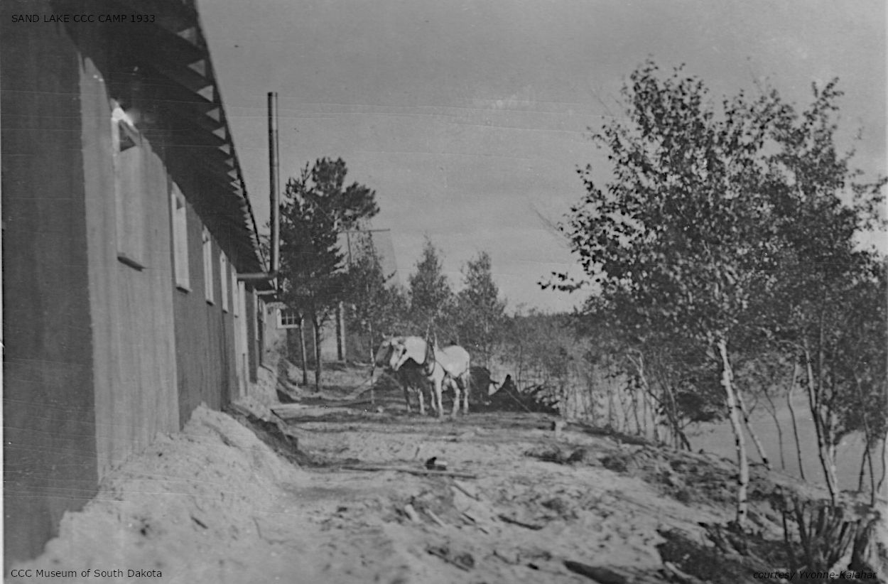 Horses behind CCC building